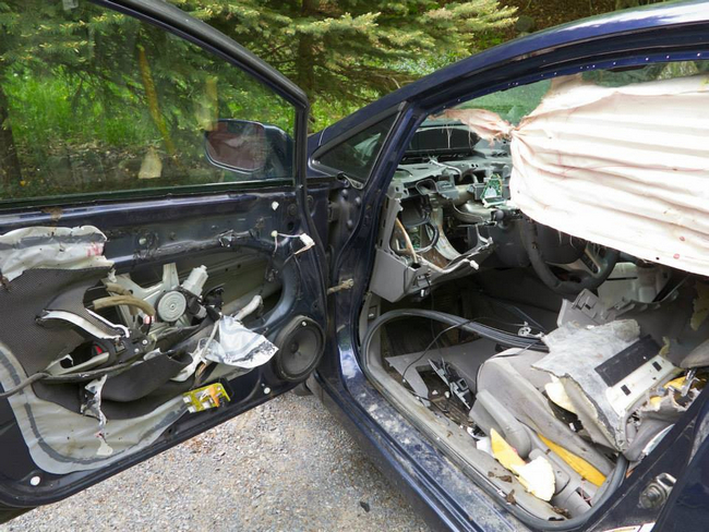 ¿Cómo quedaría tu coche si un oso se metiera dentro? No te pierdas las imágenes