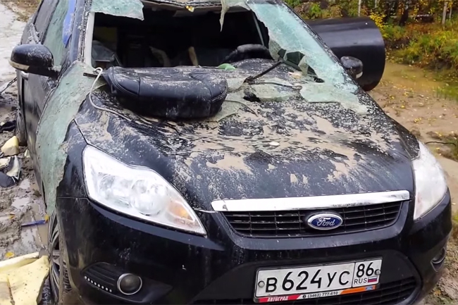 oso destroza ford focus