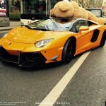 lamborghini-aventador-oso-peluche-techo-frontal-lateral