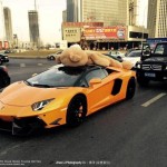 lamborghini-aventador-oso-peluche-techo-lateral