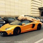 lamborghini-aventador-oso-peluche-techo-lateral2