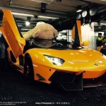 lamborghini-aventador-oso-peluche-techo-parado