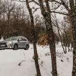 prueba-subaru-forester-2015-frontal2