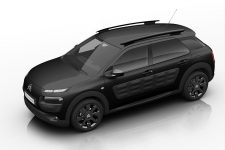 C4-Cactus-OneTone-black