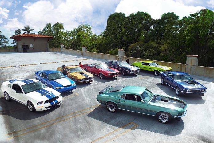 Speed Family Mustangs