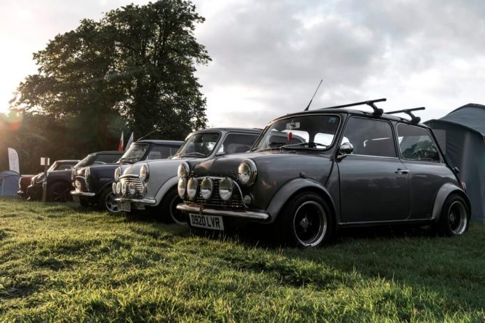 International MINI Meeting 2017