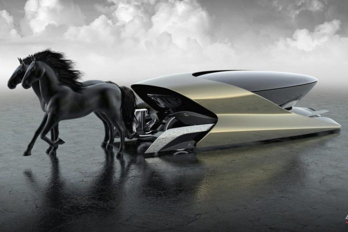 Camal Viva Concept