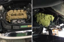 que-pasa-rellenas-mal-liquidos-coche