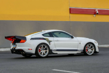 Shelby GT500 Dragon Snake
