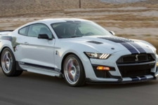 Shelby GT500 Dragon Snake