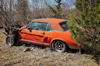 Los mejores coches que, por desgracia, fueron abandonados mejores coches abandonados