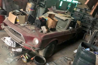 Aparece un Shelby Mustang GT500 de 1968 abandonado en un garaje Aparece Shelby Mustang GT500 1968 abandonado