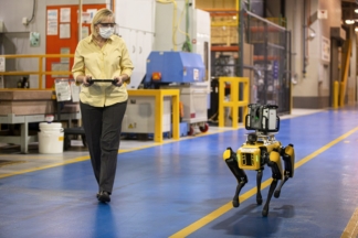 Vídeo: Fluffy y Spot, los robots 'perro' que está probando Ford Robots Ford