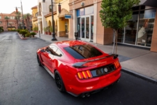 Shelby Mustang Signature Edition