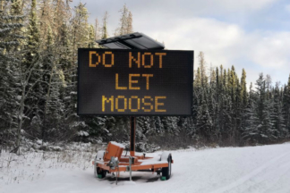 No es broma: Canadá pide a sus conductores que no dejen a los alces lamer sus coches Canadá: no dejen a los alces lamer sus coches