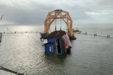 golden ray cortado cadena gigante