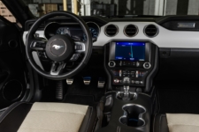 Mustang Ice White coupe interior