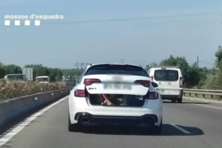 Dos menores viajaban en el maletero abierto de este Audi RS 4 Avant dos menores viajaban maletero abierto audi rs 6 avant