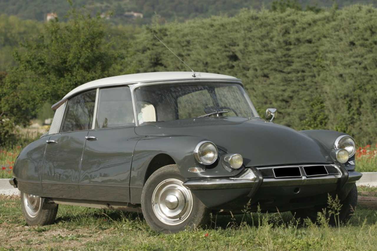 coches con nombres de animales 