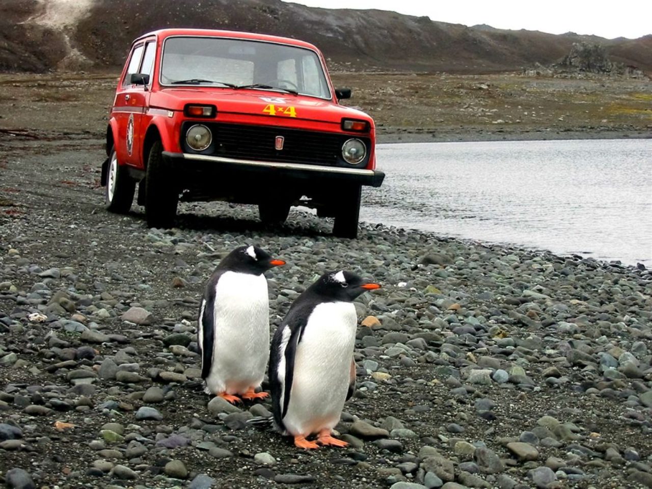curiosidades lada niva curiosidades lada niva