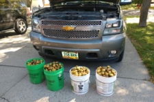 Ardilla nueces Chevrolet Avalanche