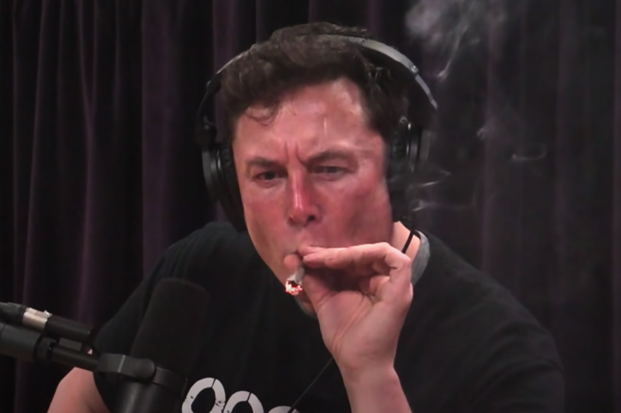 predicciones elon musk