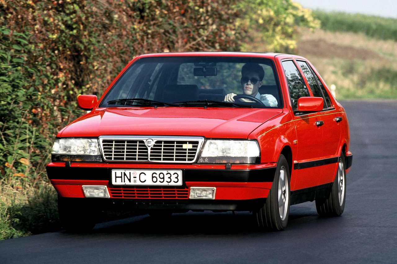 10 coches lobos piel cordero