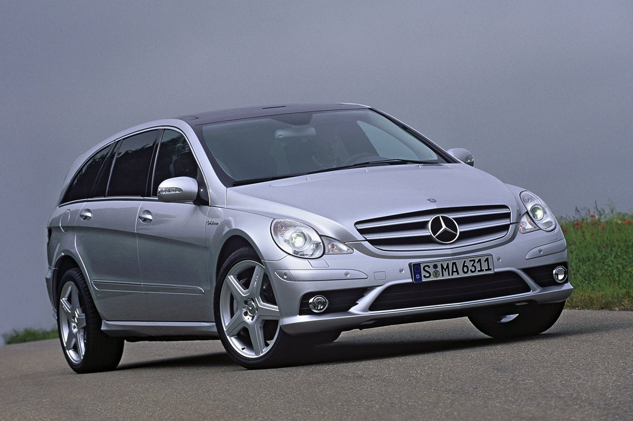 10 coches lobos piel cordero