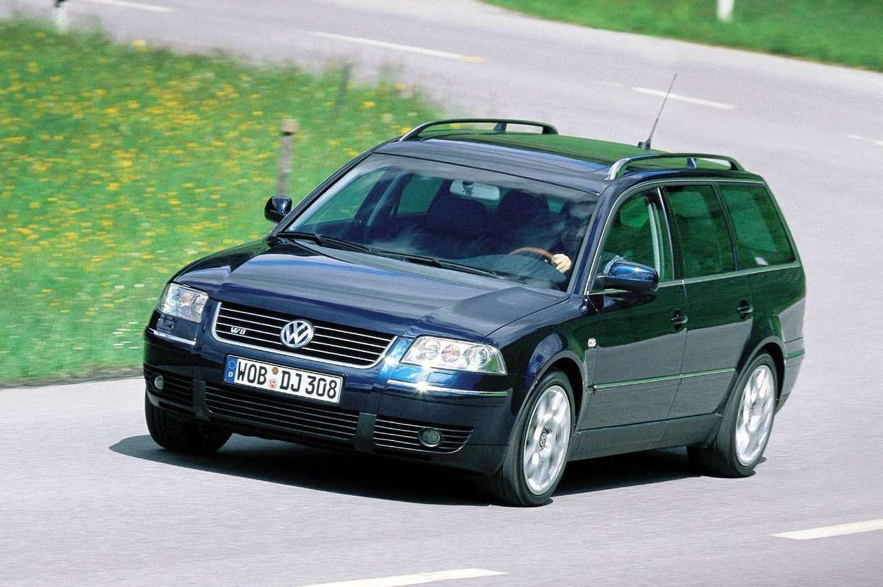 10 coches lobos piel cordero