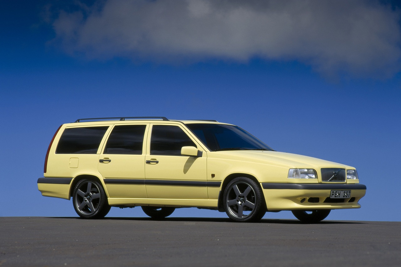 10 coches lobos piel cordero