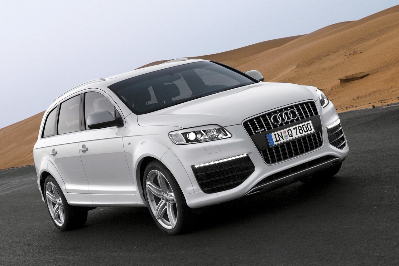 10 coches lobos piel cordero