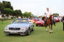 mejores imágenes de Autobello