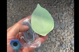 La maniobra ilegal con un imán para evitar multas por radar imán matrícula