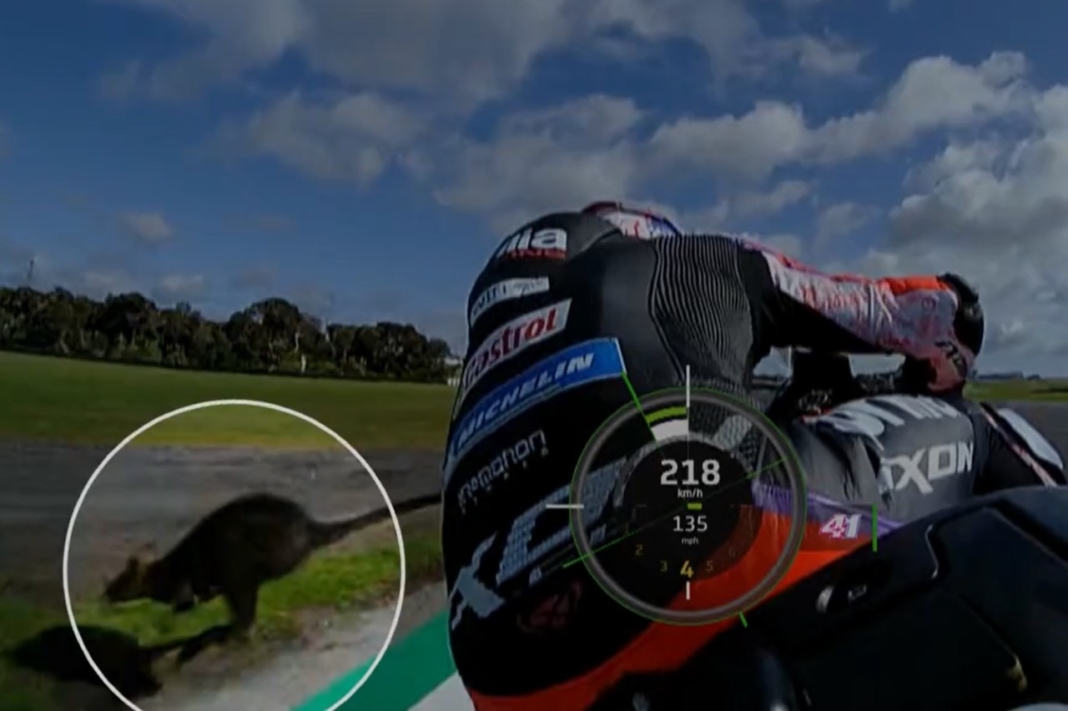 Canguro Aleix Espargaró MotoGP