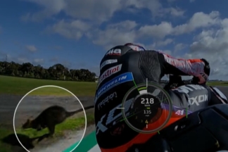 Vídeo: un canguro se cruza con Aleix Espargaró en los entrenos de MotoGP Canguro Aleix Espargaró MotoGP