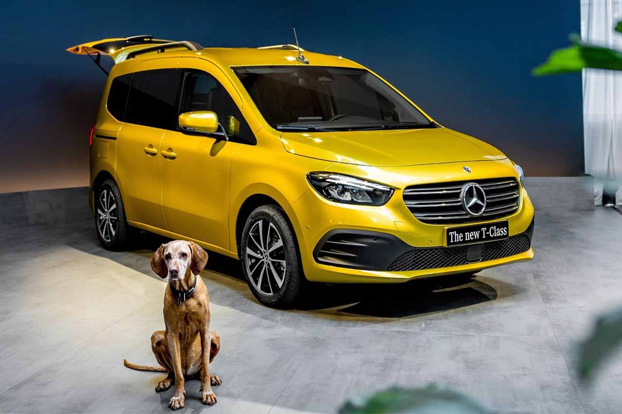 coches para llevar a tu perro 