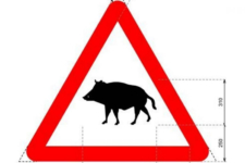 Nuevas señales tráfico