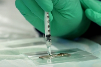 Una estudiante descubre la batería eterna que se recarga infinitas veces ¡por casualidad! Batería eterna