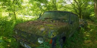 Encuentran un Range Rover de 1987 con 37.000 kilómetros abandonado en un bosque Range Rover 1987 abandonado bosque
