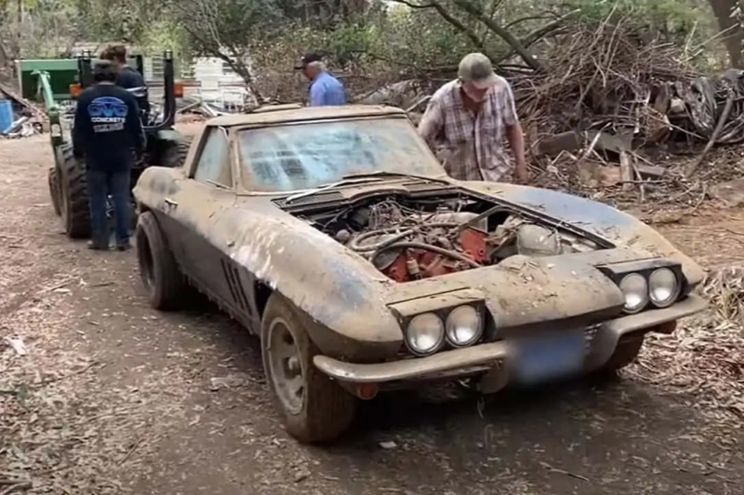 Barnd find Chevrolet Corvette