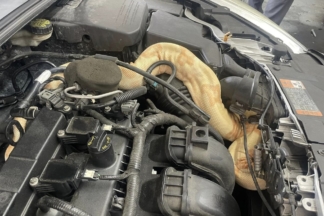 Encuentra una boa de dos metros en el motor de un Ford Focus boa motor Ford Focus