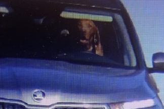 Un radar sorprende a un perro conduciendo con exceso de velocidad perro conduciendo