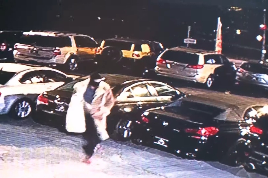 roban ocho coches concesionario