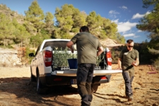 SsangYong Musso Sport reforestación