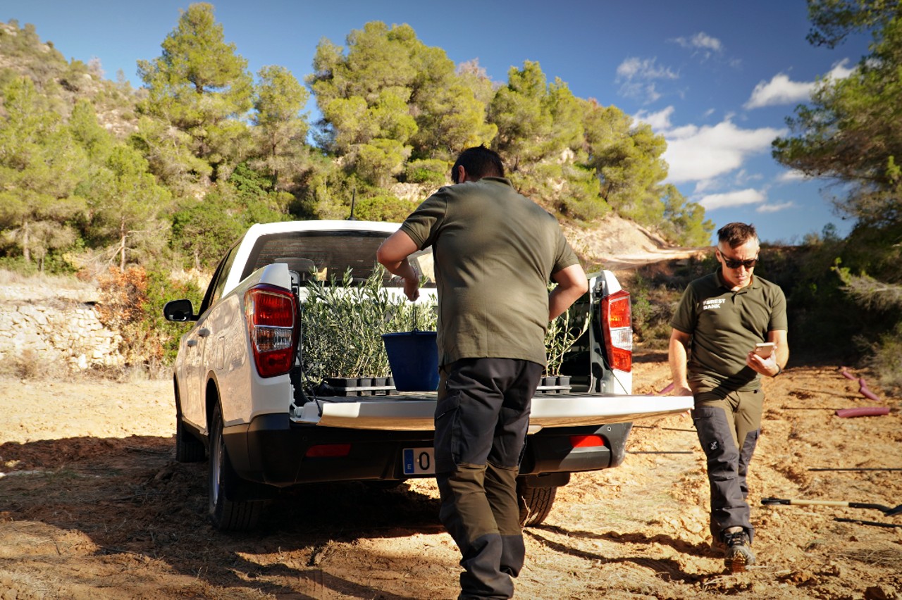 SsangYong Musso Sport reforestación