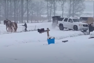 Dos caballos amish rescatan un GMC Yukon atascado en la nieve caballos GMC Yucon atascado nieve