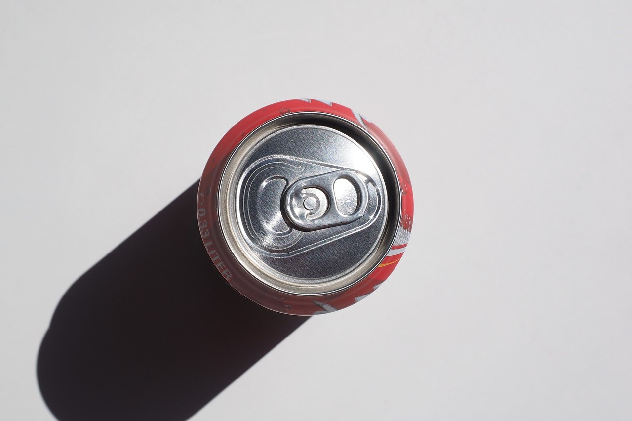 cosas no debes dejar en el coche helada