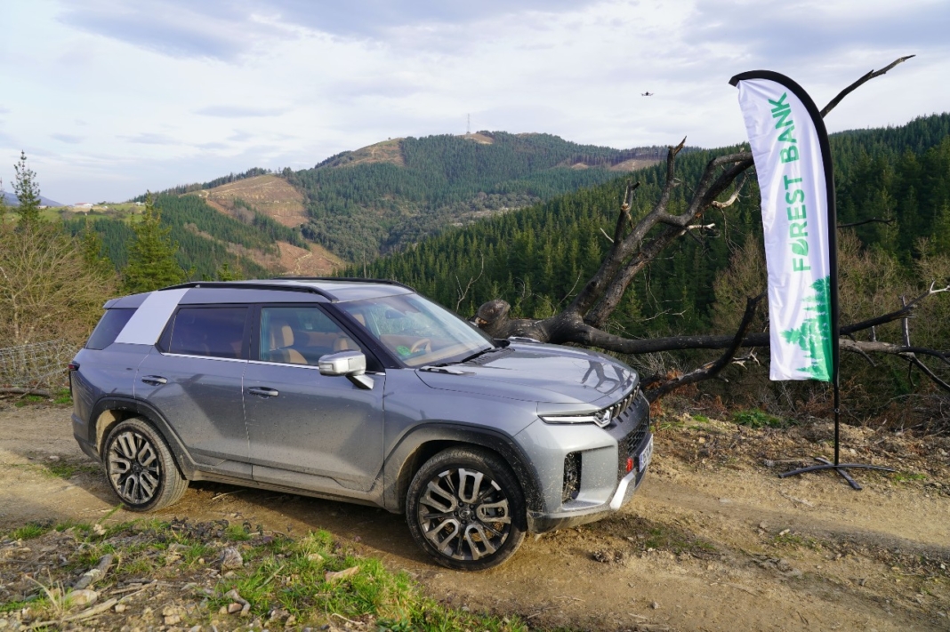SsangYong Torres reforestación bosque
