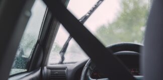 Es muy importante que vayas al baño antes de salir de viaje porque tendrás mayores posibilidades de sobrevivir en caso de accidente Baño antes de viaje coche