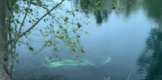 Un Porsche 911 GT3 RS totalmente nuevo cae a un río y queda sumergido Porsche 911 GT3 RS rio